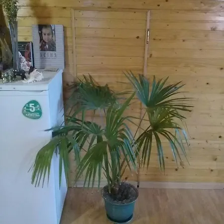 In Yasynya Guest house