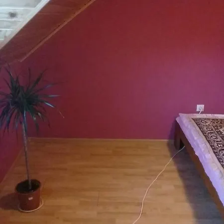 Guest house In Yasynya *